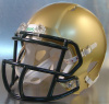 St. Vincent / St. Mary Fighting Irish HS 2012 (OH)